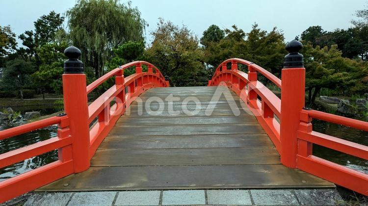 福井県越前市の紫式部公園の赤い橋 紫式部,日本庭園,越前市の写真素材