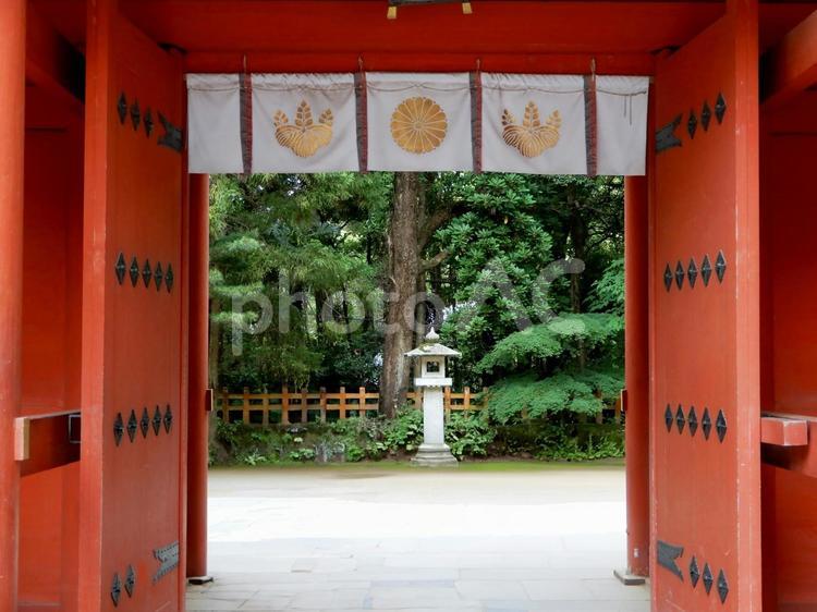 下総国一宮　香取神宮 香取神宮,神社,下総国一宮の写真素材