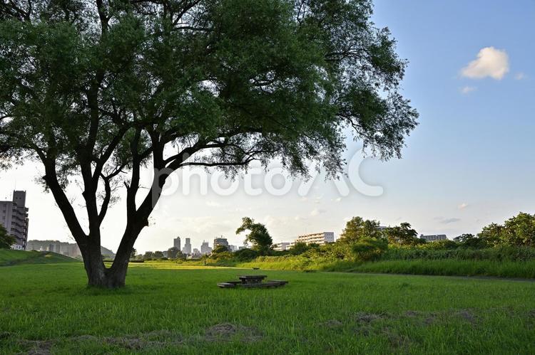宮城県仙台市　広瀬川河川敷からの風景 河川敷,広瀬川,広瀬川八本松緑地の写真素材