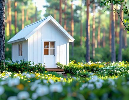 森の中の白い小屋 森の中の白い小屋の写真