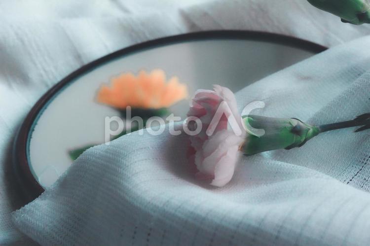 カーネーションとひまわりと 夏,ひまわり,涼しいの写真素材