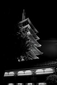 夜のライトアップされた五重塔 夜のライトアップされた五重塔の写真