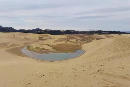 【鳥取県】鳥取砂丘 【鳥取県】鳥取砂丘 鳥取砂丘,砂丘,海の写真素材