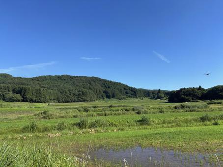 夏の里山 夏の里山 夏の里山,里山,夏の写真素材