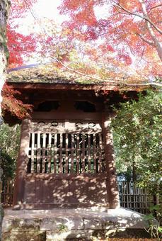 洛北蓮華寺　鐘楼堂 蓮華寺,洛北,帰命山の写真素材