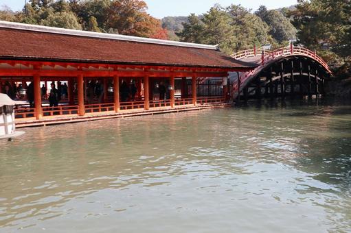 厳島神社　反橋04 厳島神社,宮島,広島県の写真素材