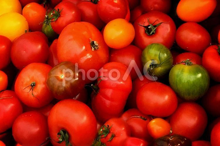 新鮮でおいしいトマトのイメージ トマト,野菜,赤の写真素材