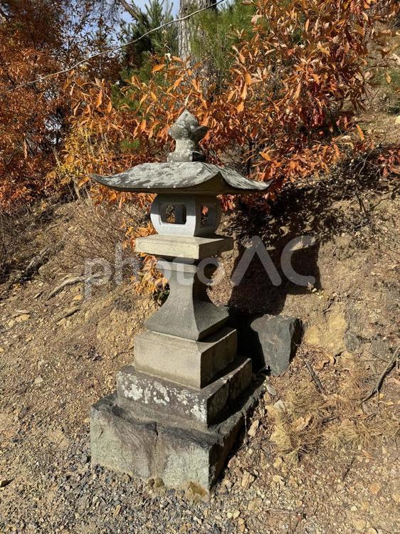 長野県松本市　千鹿頭神社　灯篭 千鹿頭神社,神社,晩秋の写真素材