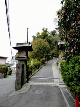 鎌倉市・大船観音寺の参道入り口 鎌倉市・大船観音寺の参道入り口 道,参道,歩道の写真素材