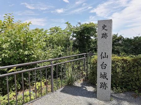 仙台城跡 仙台城跡,史跡,仙台の写真素材