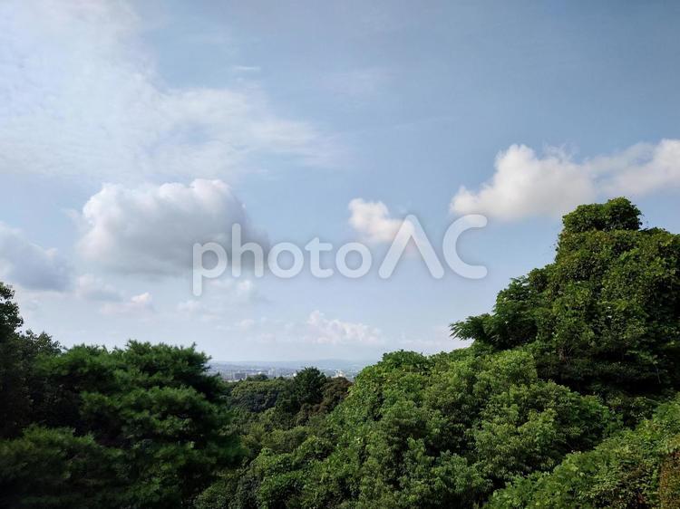 京都の町並みと空 樹木,空,晴れの写真素材