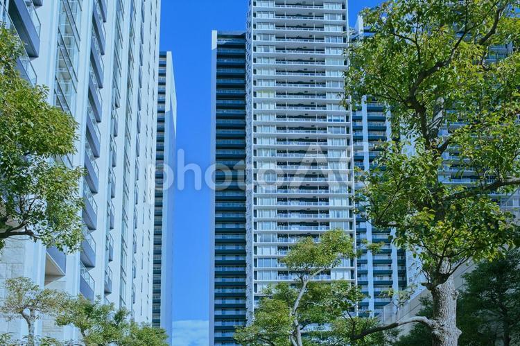 マンション　緑の木 マンション,タワーマンション,ビルの写真素材