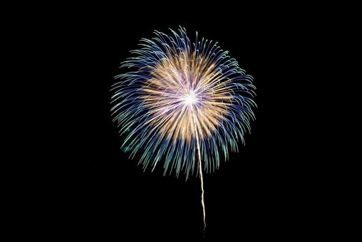 花火 青 花火 青の写真