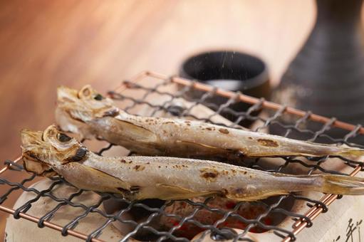 軽く火で炙った一夜干しのししゃも 軽く火で炙った一夜干しのししゃも ししゃも,柳葉魚,一夜干しの写真素材