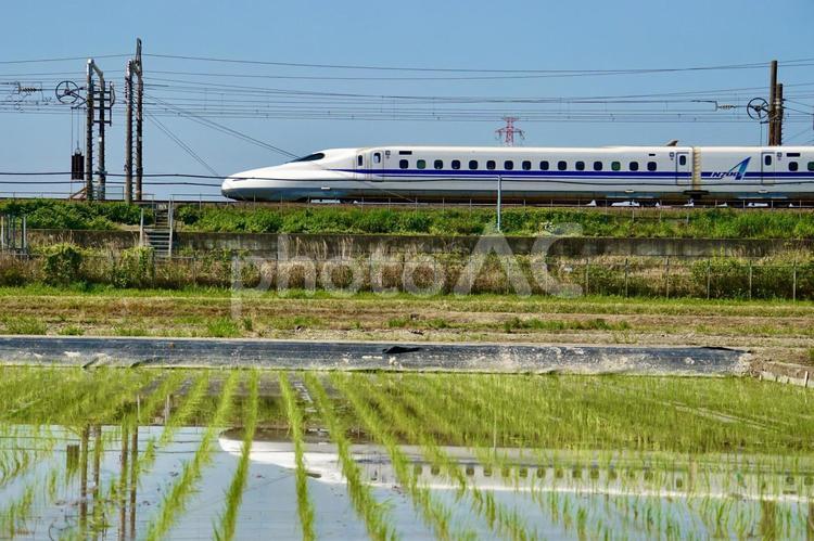 東海道新幹線N700Sが田園風景を走る 東海道,新幹線,n700sの写真素材