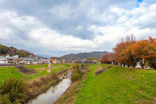 秋の竜田川 竜田川,秋,紅葉の写真素材