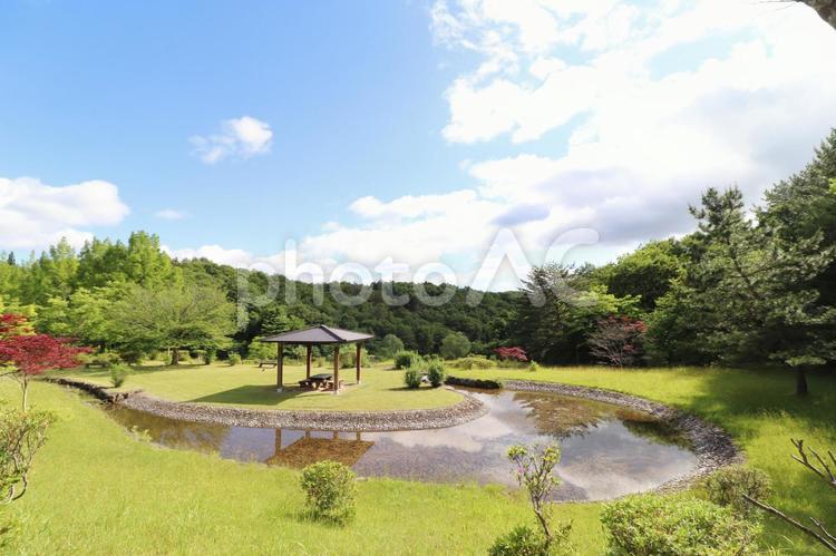 天気のいい日の公園 公園,空,雲の写真素材