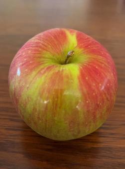 R7.10.06 りんごシナノスイーツ R7.10.06 りんごシナノスイーツの写真