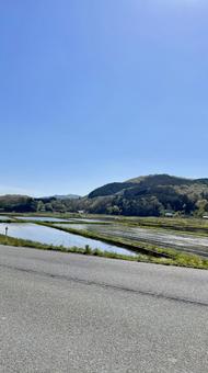 水田 水田 水田,田んぼ,5月の写真素材