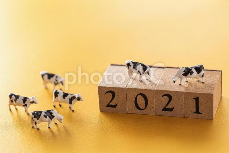 2021年のブロックと干支の牛 2021年,牛,十二支の写真素材