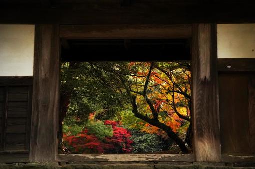 福岡 秋月 長屋門2 長屋門,裏御門,紅葉の写真素材