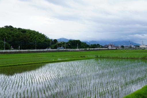 田舎の風景 田舎の風景の写真