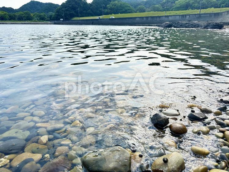 夏山園地　夏の海岸公園 風景,晴れ,芝生広場の写真素材