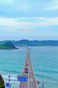 【山口県】角島大橋 【山口県】角島大橋 角島,角島大橋,海の写真素材