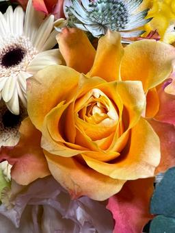 オレンジのバラのアレンジメント 花,アレンジメント,ブーケの写真素材