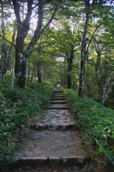 大台ヶ原の風景 大台ヶ原の風景 大蛇嵓,断崖絶壁,正木ヶ原の写真素材