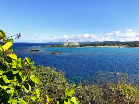 海 海,沖縄の海,青いの写真素材