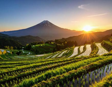 夕日と棚田 夕日と棚田の写真