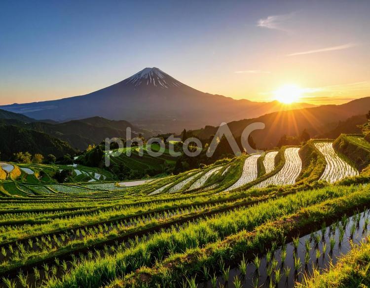 夕日と棚田 夕日,自然,景色の写真素材