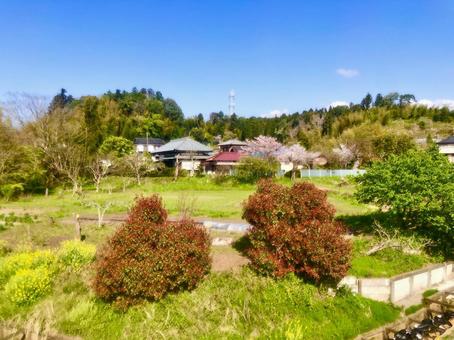 田舎の風景 田舎の風景の写真