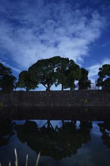 深夜の祝田橋交差点付近からお堀の木 深夜,夜,夜中の写真素材