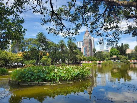 台湾の公園の池 台湾の公園の池 台湾,景色,風景の写真素材