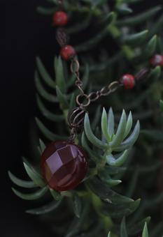 赤いレトロ調ストーンネックレスと植物A 赤いレトロ調ストーンネックレスと植物A ネックレス,石,赤の写真素材