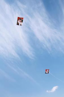 青空に上がる二つの日本凧 凧,大凧,青空の写真素材