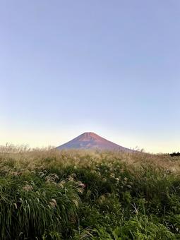大空と富士山とススキ野原 大空と富士山とススキ野原の写真