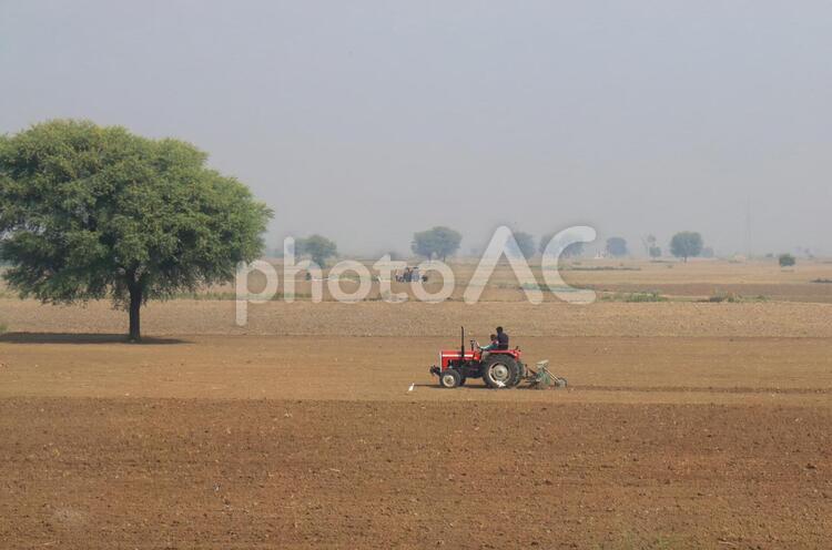 インド　ジャイプルの農村風景 農村,畑,インドの写真素材
