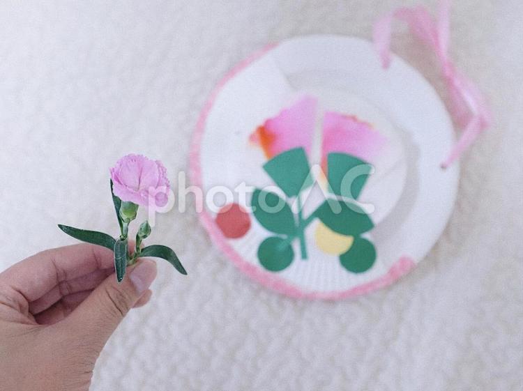 母の日 花,愛,自然の写真素材