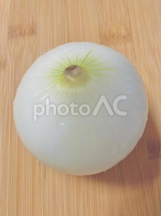 玉ねぎ 玉ねぎ,タマネギ,野菜の写真素材