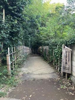 佐倉／ひよどり坂の入り口（看板） ひよどり坂,佐倉,看板の写真素材