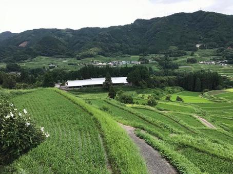 雄大な自然と棚田が織りなす絶景 雄大な自然と棚田が織りなす絶景の写真