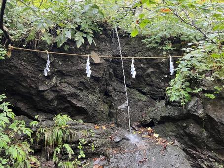 戸隠神社 奥社 戸隠神社 奥社 戸隠,神社,奥社の写真素材