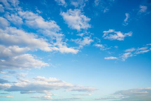 清々しい朝の青空 青空,空,天空の写真素材