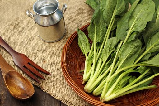 新鮮なほうれん草の束 ほうれん草,野菜,緑色の写真素材