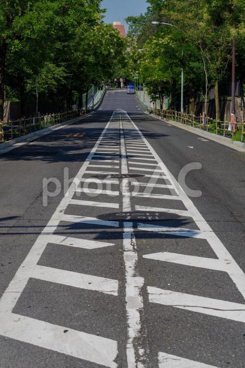 南青山2丁目から表参道にまっすぐ伸びる道 道路,直線,散歩道の写真素材