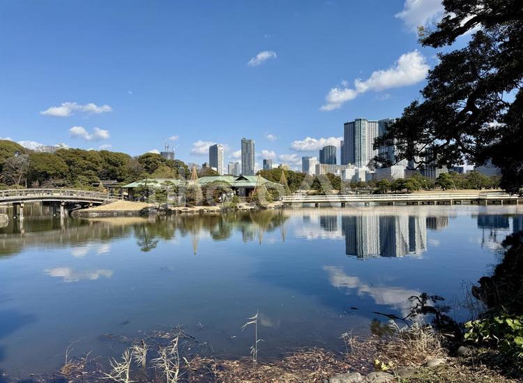 3月上旬の浜離宮 春の風景,季節の変わり目,風景の写真素材