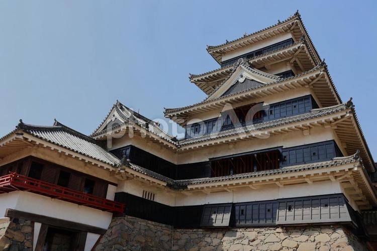 ４月上旬の国宝松本城本丸庭園内の天守 背景,国宝,松本城の写真素材